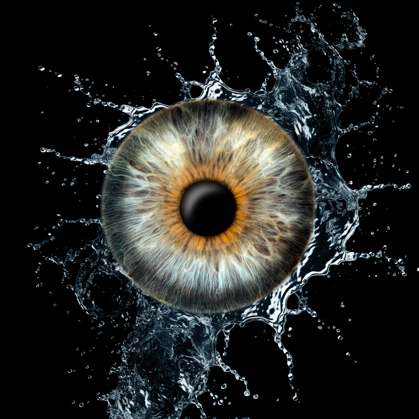 Iris-Fotografie Einzelfoto Wassereffekt